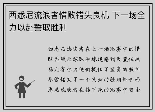 西悉尼流浪者惜败错失良机 下一场全力以赴誓取胜利