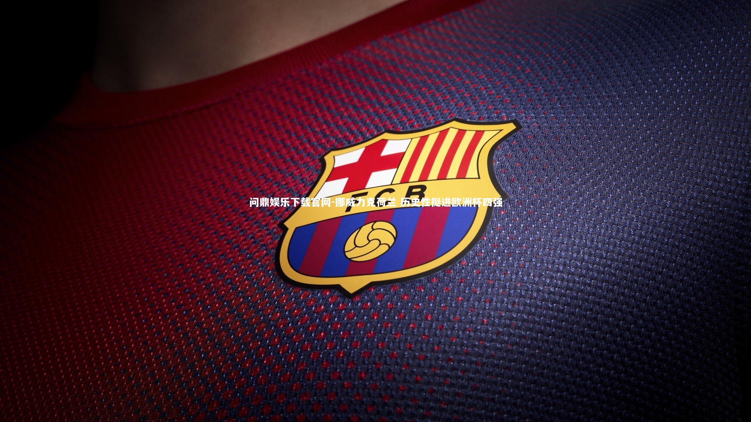 挪威力克荷兰 历史性挺进欧洲杯四强