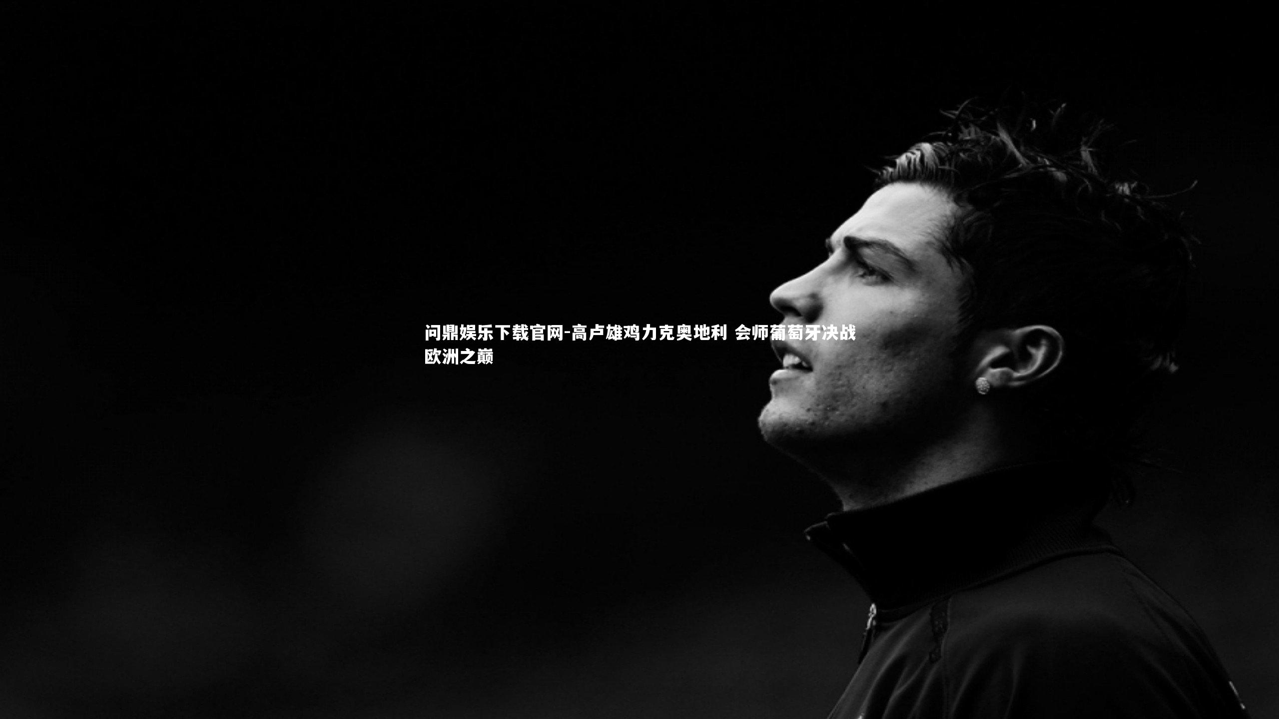 高卢雄鸡力克奥地利 会师葡萄牙决战欧洲之巅